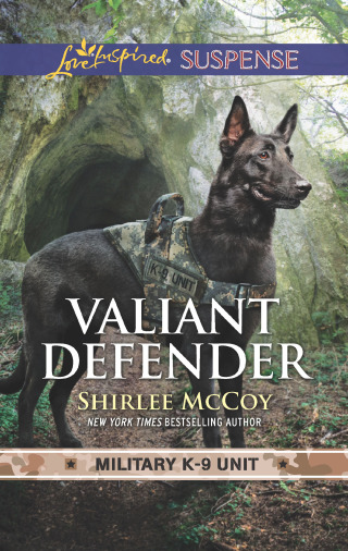 Cover image: Valiant Defender 9781335490704