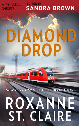 Cover image: Diamond Drop 9781488094903