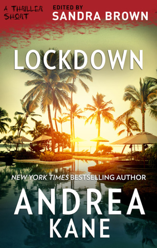 Cover image: Lockdown 9781488094941