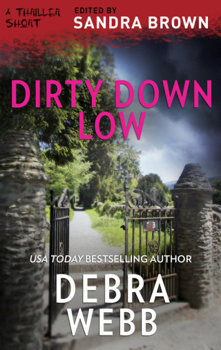 Imagen de portada: Dirty Down Low 9781488095146