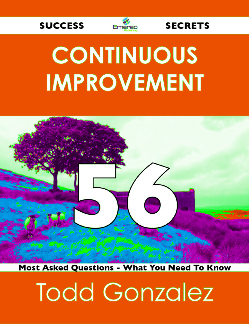 continuous improvement 56 Success Secrets – 56 Most Asked Questions On continuous improvement – What You Need To Know