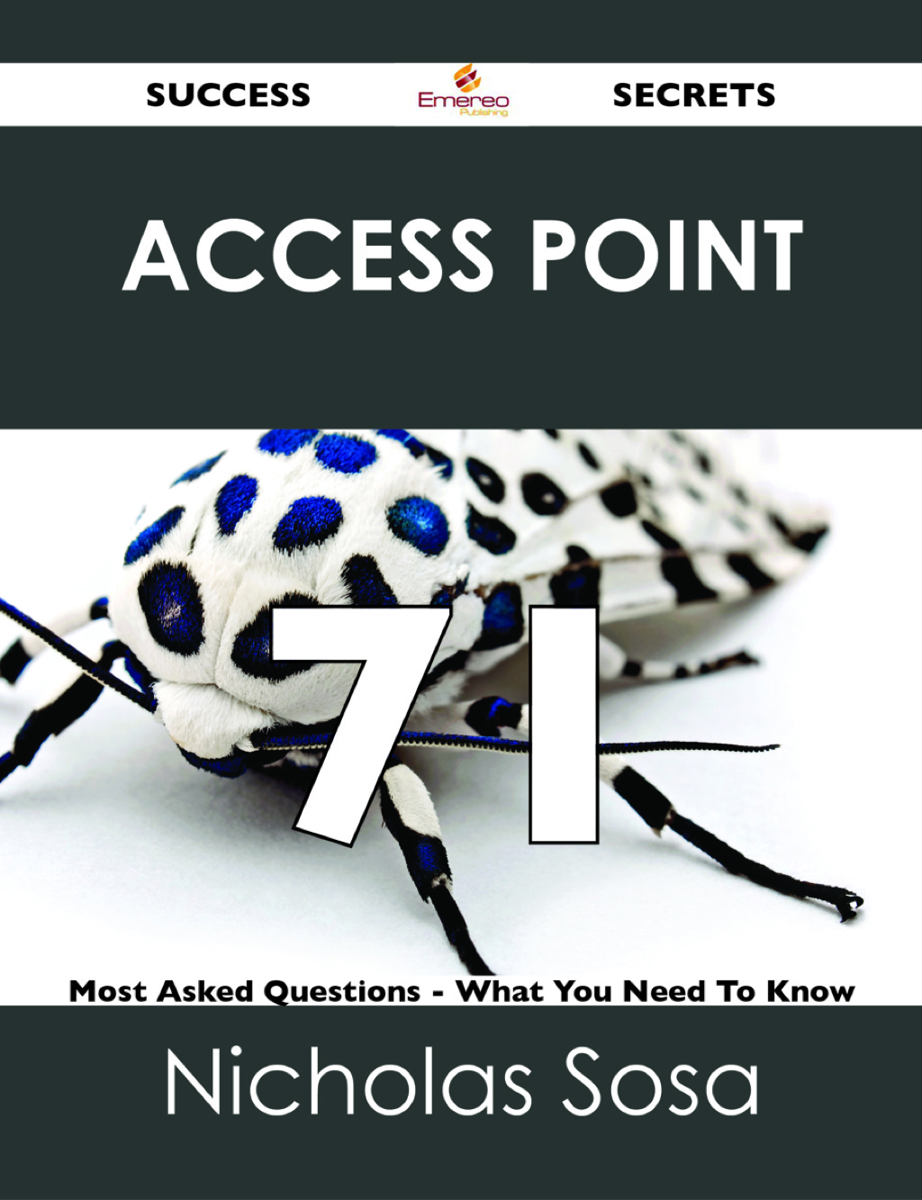 Access Point 71 Success Secrets - 71 Most Asked Questions On Access Point - What You Need To Know (eBook)