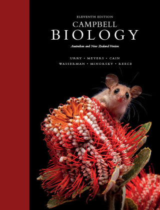 Cover image: Campbell Biology: Australian and New Zealand Edition eBook 11th edition 9781488613715