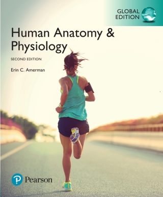 Cover image: Human Anatomy & Physiology, Global Edition 2nd edition 9781292260082