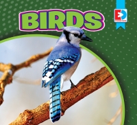 Imagen de portada: Birds 1st edition 9781489680471