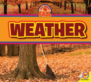 Cover image: Weather 1st edition 9781489695840