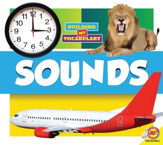 Imagen de portada: Sounds 1st edition 9781489696571