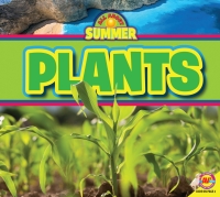 Imagen de portada: Plants 1st edition 9781489696816