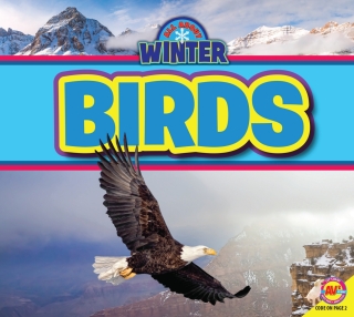 Cover image: Birds 1st edition 9781489697059