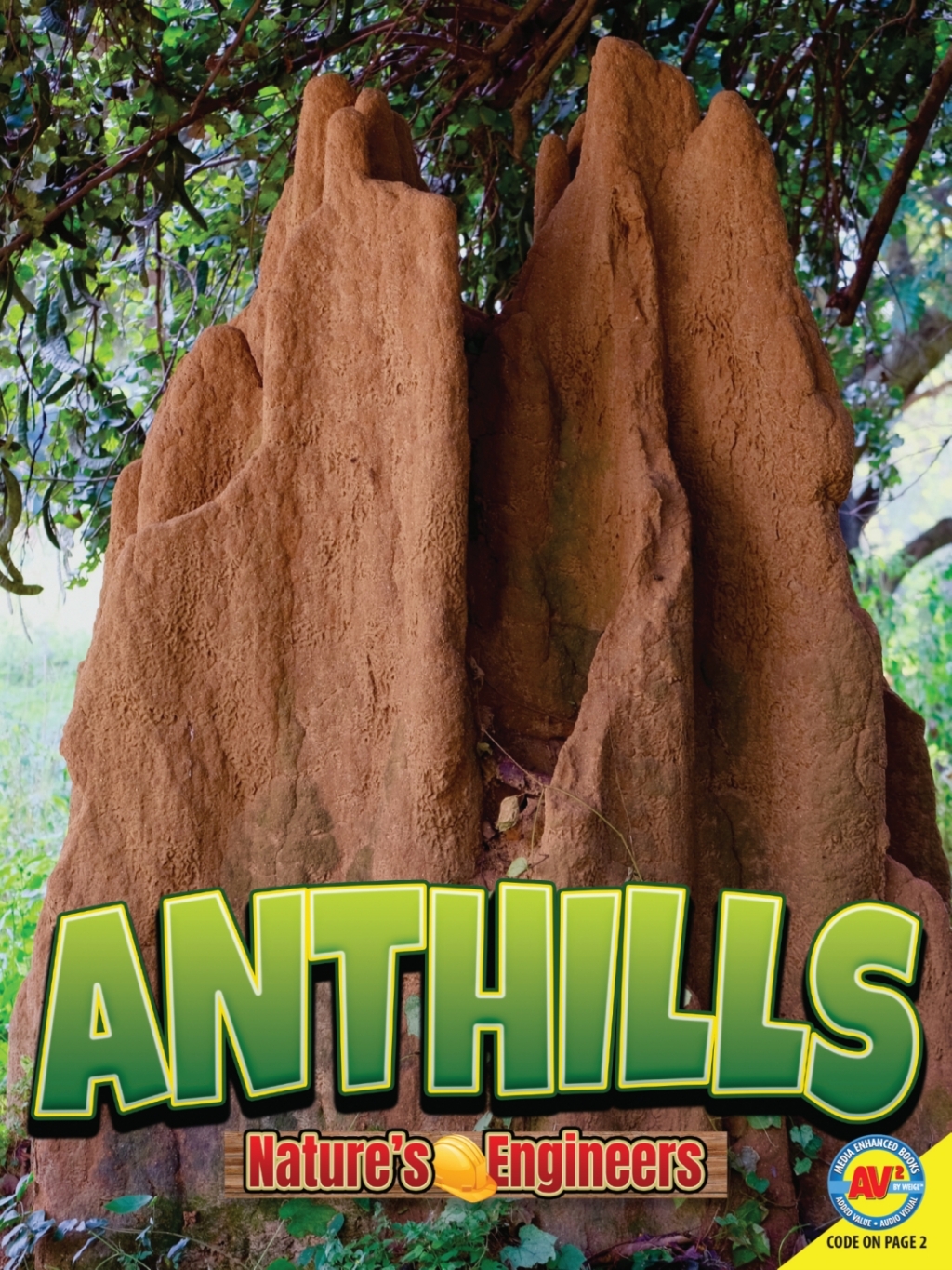 Anthills 1st Edition