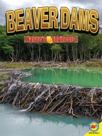 Imagen de portada: Beaver Dams 1st edition 9781489697417