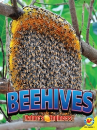 Imagen de portada: Beehives 1st edition 9781489697455