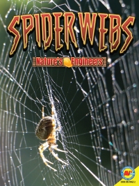 صورة الغلاف: Spiderwebs 1st edition 9781489697530