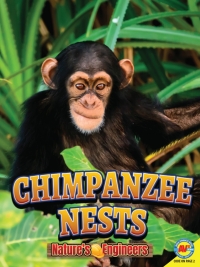Cover image: Chimpanzee Nests 1st edition 9781489697615