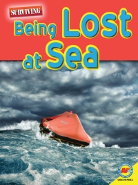 Cover image: Being Lost at Sea 1st edition 9781489697738