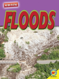 صورة الغلاف: Floods 1st edition 9781489697851