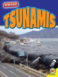 Imagen de portada: Tsunamis 1st edition 9781489697936