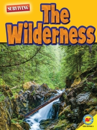 Cover image: The Wilderness 1st edition 9781489697974