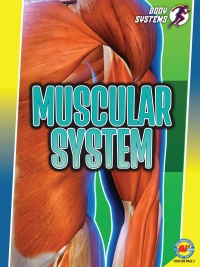Imagen de portada: Muscular System 1st edition 9781489699268