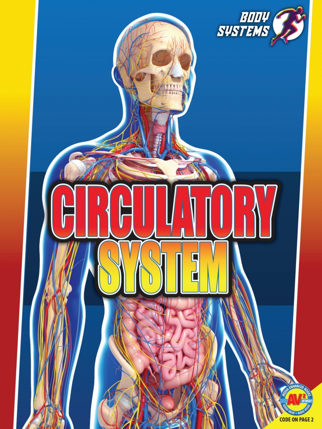 Circulatory System 1st Edition