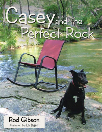 Cover image: Casey and the Perfect Rock 9781489703200