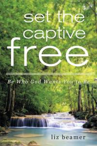 Titelbild: Set the Captive Free 9781489705617