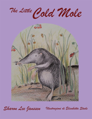 Imagen de portada: The Little Cold Mole 9781489707192