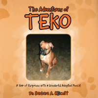 Cover image: The Adventures of Teko 9781489708625