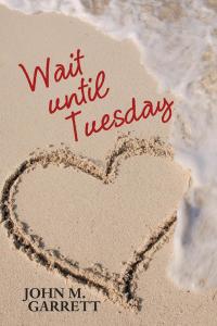 Cover image: Wait Until Tuesday 9781489711083