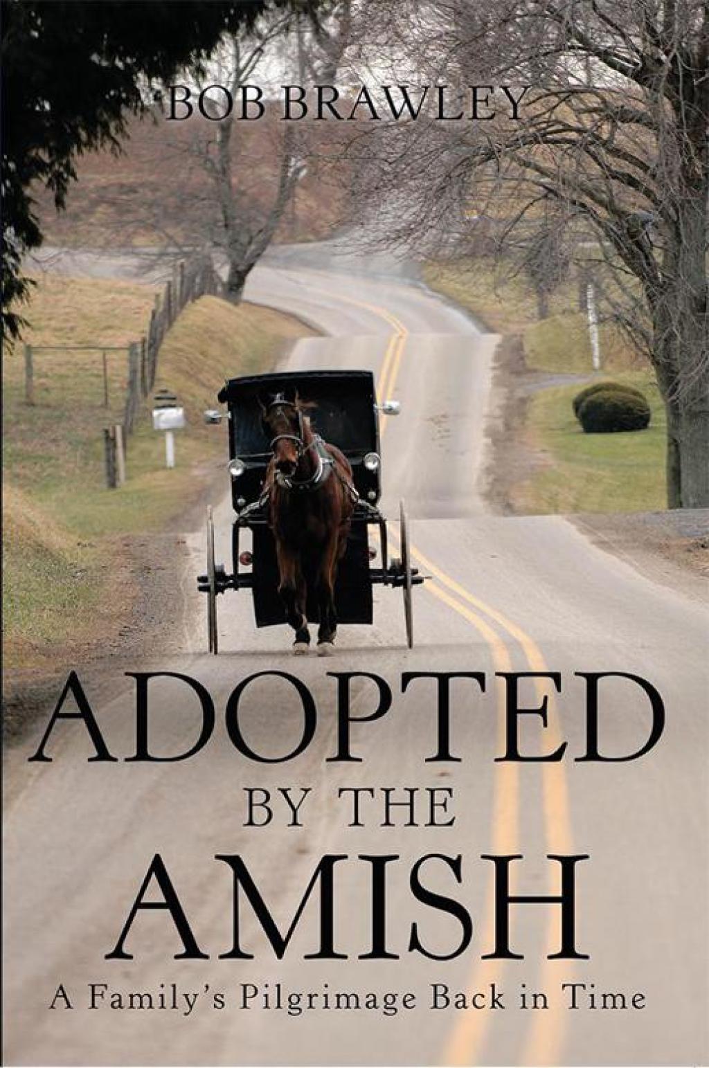 Adopted by the Amish A Family’S Pilgrimage Back in Time