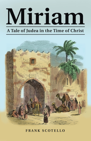 Cover image: Miriam 9781489715265