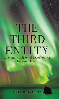 Cover image: The Third Entity 9781489715760