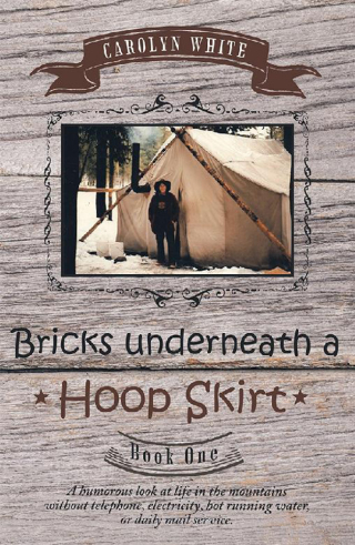 Cover image: Bricks Underneath a Hoop Skirt 9781489716378