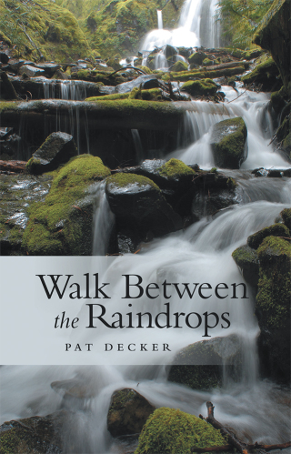 Cover image: Walk Between the Raindrops 9781489719669