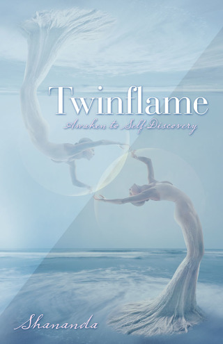 Imagen de portada: Twinflame 9781489724694