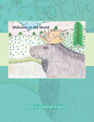 Cover image: Welcome to My World 9781489729149