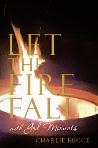 Cover image: Let the Fire Fall 9781489733139