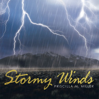 Titelbild: Stormy Winds 9781489734082