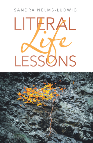 Cover image: Literal Life Lessons 9781489735720