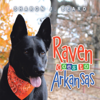 Cover image: Raven Goes To Arkansas 9781489736147