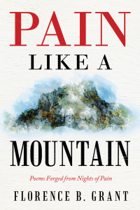 Cover image: Pain Like a Mountain 9781489736505