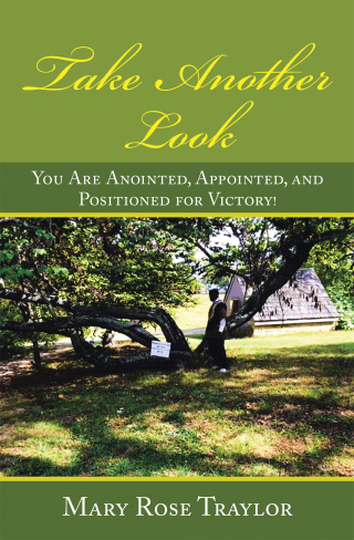 Cover image: Take Another Look 9781489737564