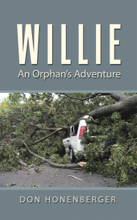 Cover image: Willie 9781489739117