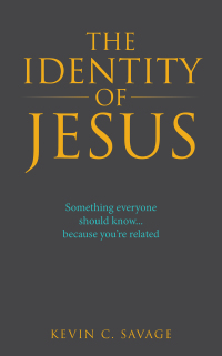 Cover image: The Identity of Jesus 9781489742544