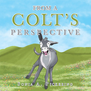 Cover image: From a Colt’s Perspective 9781489743343
