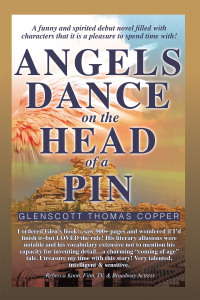 Cover image: Angels Dance on the Head of a Pin 9781489744739