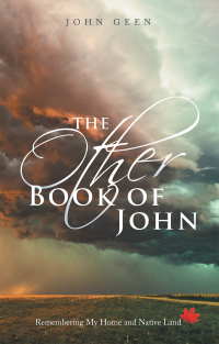 Imagen de portada: The Other Book of John 9781489745057