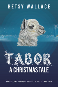 Omslagafbeelding: Tabor - A Christmas Tale 9781489745774