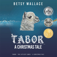 Imagen de portada: Tabor - A Christmas Tale 9781489746016