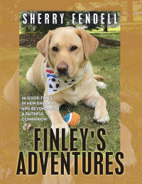 Imagen de portada: Finley's Adventures 9781489747334